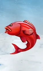 Ice Fishing